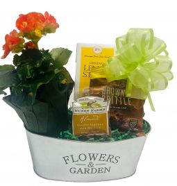 Sensational Flowers & Garden ($35 and Up)